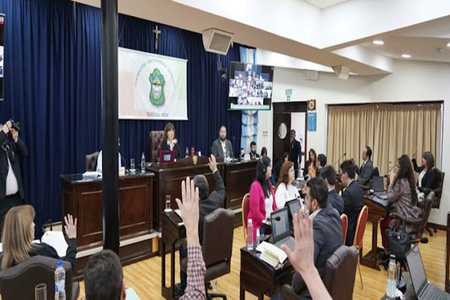 Constituyente se presentaron 170 proyectos de modificaciones a la Carta Organica