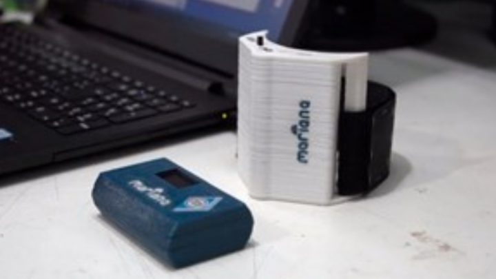 «Mariana», un dispositivo electrónico para prevenir femicidios