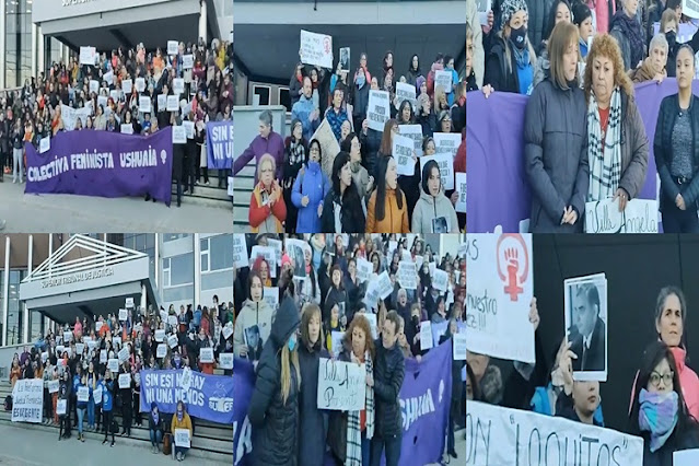 Marcha al Superior Tribunal de Justicia piden la detención de Marcelo Guzman por violencia de genero