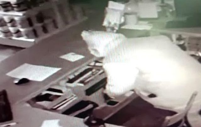 Robo a pintureria en Ushuaia