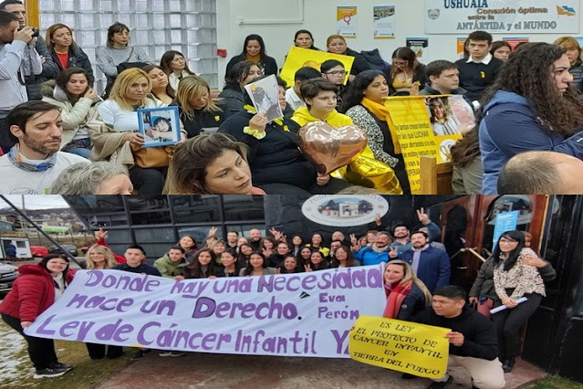 La Legislatura aprobó la Ley de protección a pacientes con cáncer infantil en TDF
