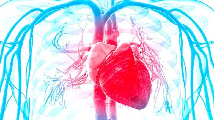 El 28% de las muertes en el país son producto de enfermedades cardiovasculares