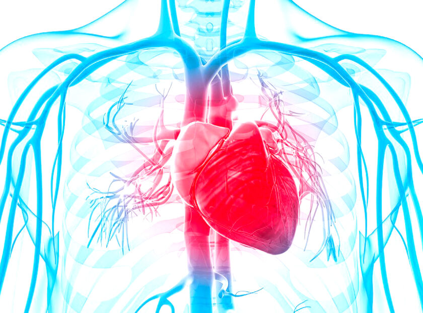 El 28% de las muertes en el país son producto de enfermedades cardiovasculares