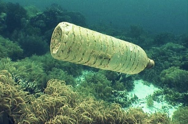 Declaran de interés provincial la limpieza del lecho submarino del canal Beagle