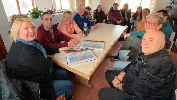 Bertone insistirá en la construcción de un nuevo puente en la Margen Sur