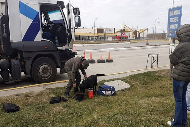 Camionero detenido por intentar ingresar 5 kilos de cocaina a TDF