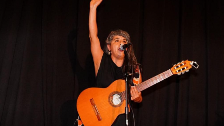 LA MUNICIPALIDAD DE USHUAIA PARTICIPÓ DE LA PRE-CONFERENCIA FEDERAL SOBRE LA MUJER EN AMERICA LATINA Y EL CARIBE