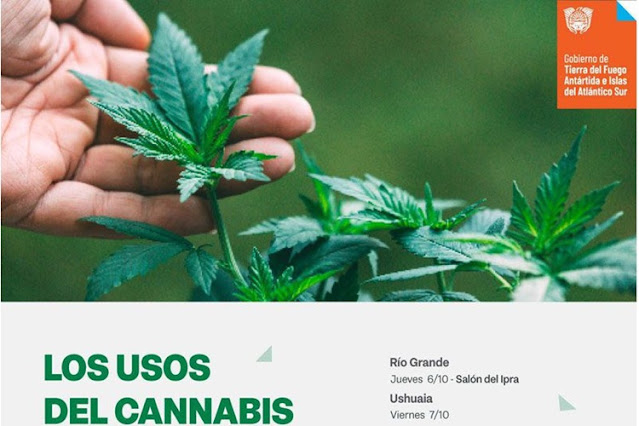 Gobierno convoca a una charla sobre el uso del cannabis