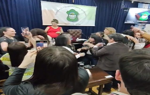 Paridad de Genero Fadul, Tavarone, Hoyos, Branca y Coto votaron por la negativa