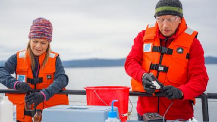 Realizan nuevo monitoreo sobre la calidad del agua de la costa del Canal Beagle