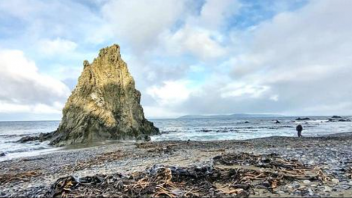 Península Mitre ya es área natural protegida