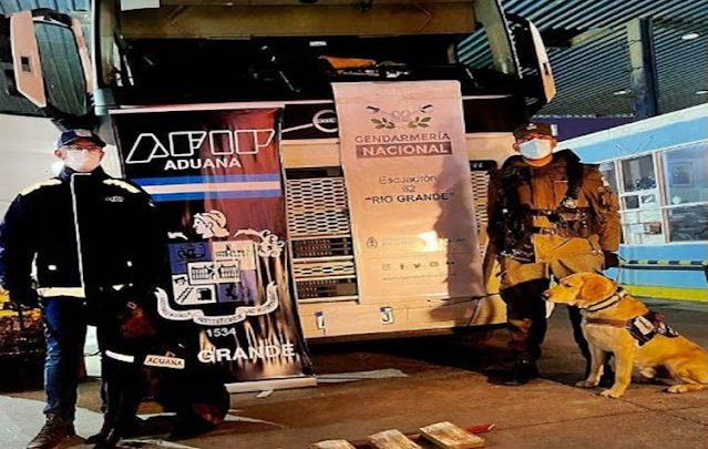 Cuatro personas procesadas por intentar ingresar 15 de cocaína a TDF