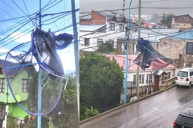 Apagón en Ushuaia por la voladura de una cama elástica