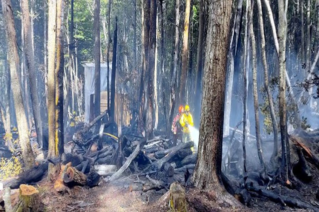 Incendio forestal, dieron con el autor y un bombero resulto lesionado