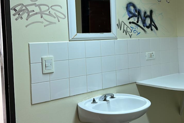 Vandalismo y robo en el Hospital se llevaron hasta las canillas