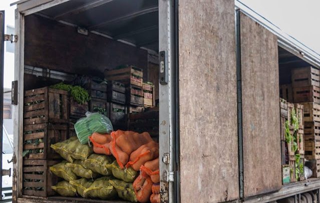 Decomisan 4 mil kilos de frutas y verduras con destino a TDF
