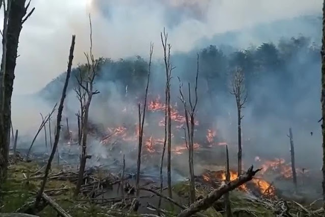 Incendio forestal presentaron en la Justicia un audio que culpa a dos pescadores del hecho