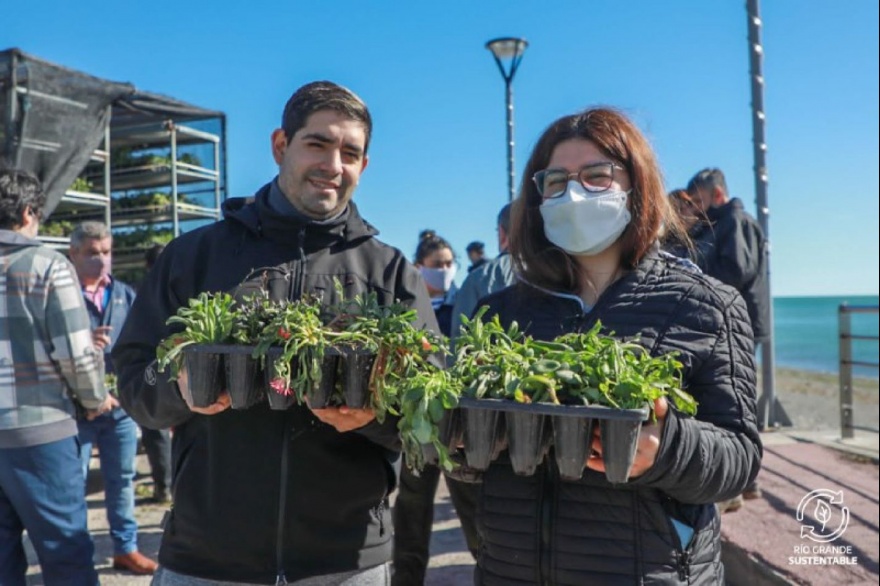 Entrega de plantines a cambio de ayuda para el Corazón de la Isla