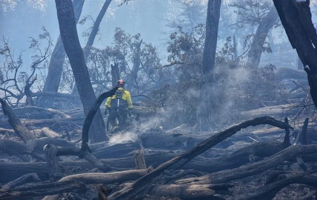Incendio forestal, por la lluvia el perimetro del fuego esta contenido