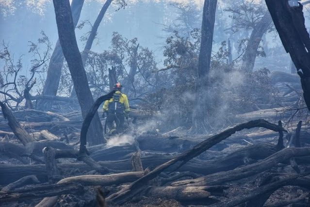 Incendio forestal, por la lluvia el perimetro del fuego esta contenido