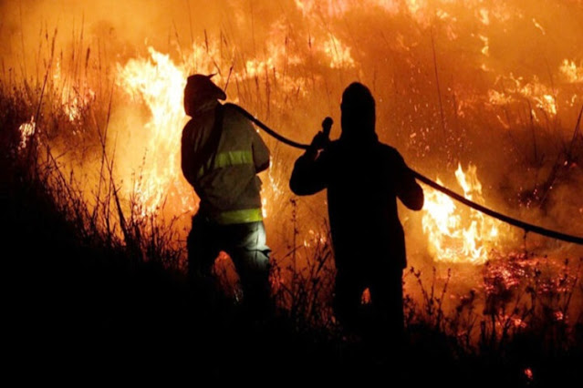 Incendio forestal: Brigadistas de paro por falta de pago