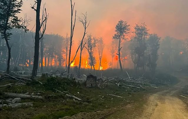 El fuego se reavivo y hay focos dispersos a causa del viento