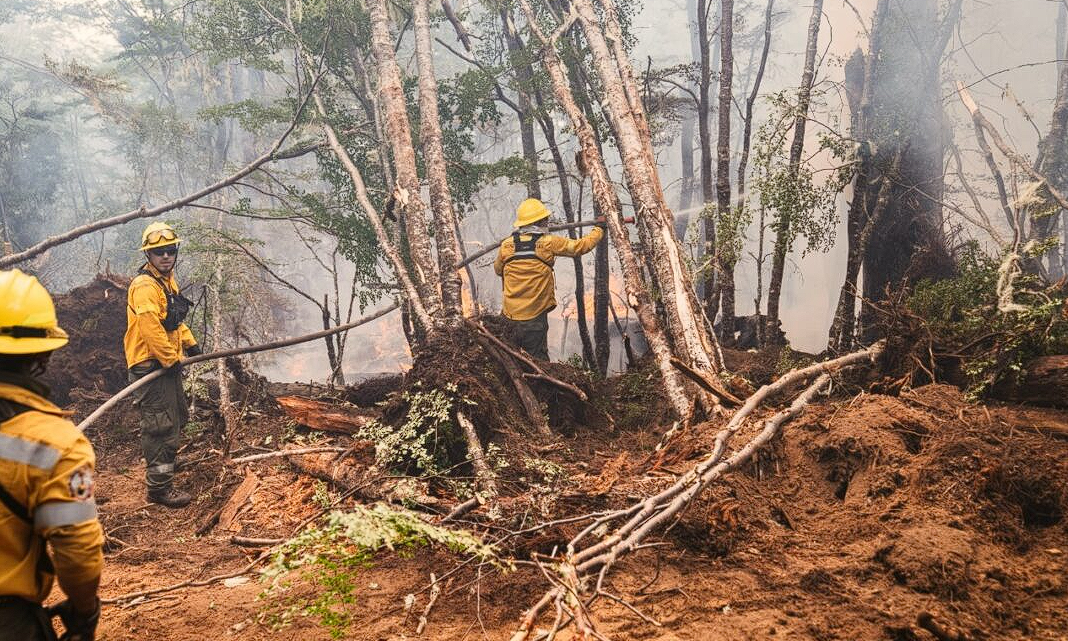 Estado de la situación incendio en la reserva Corazón de la Isla