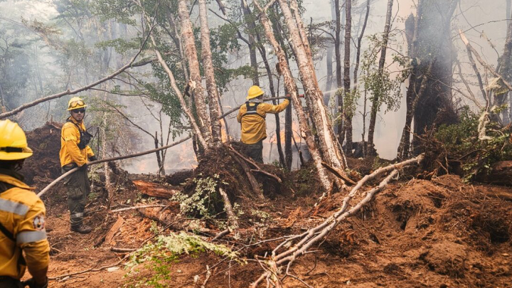 Estado de la situación incendio en la reserva Corazón de la Isla