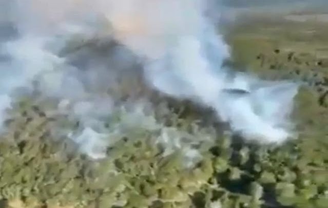 Incendio forestal en la zona de la ex Estancia Carmen