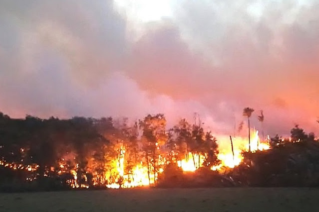 Incendio forestal descontrolado