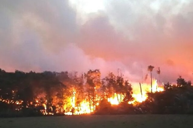 LA CATASTROFE PRODUCIDA POR EL INCENDIO FORESTAL SUPERO LAS 9 MIL HECTÁREAS, CUATRO VECES LA SUPERFICIE DE USHUAIA
