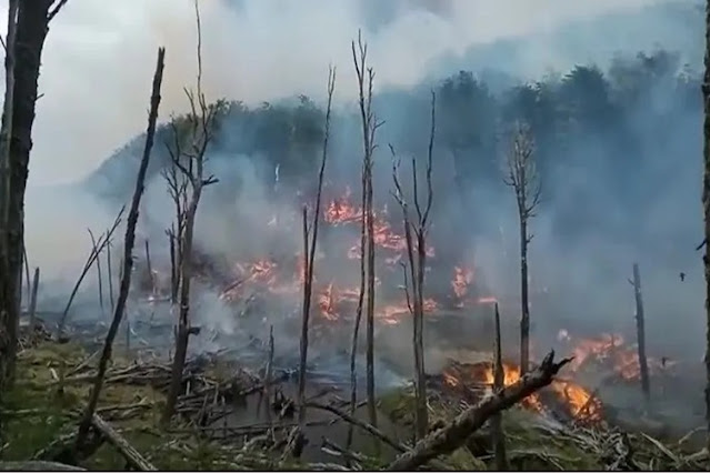 Incendio forestal una bombero mujer resulto gravemente lesionada