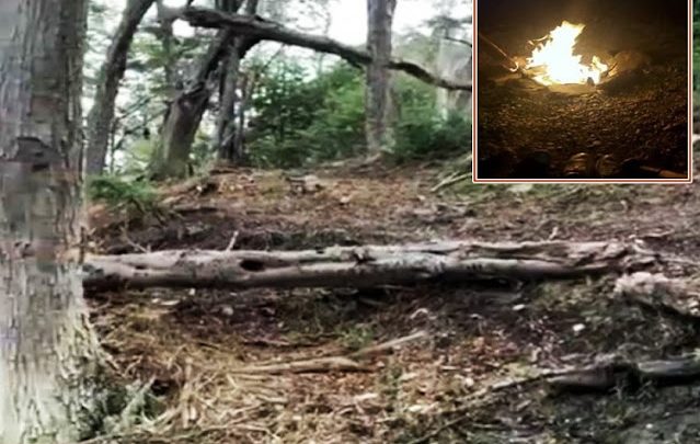 Incendio en Ushuaia en zona boscosa por un fogon mal apagado