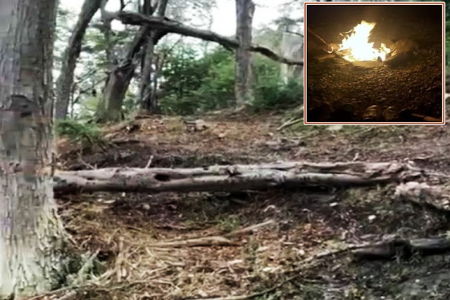 Incendio en Ushuaia en zona boscosa por un fogon mal apagado