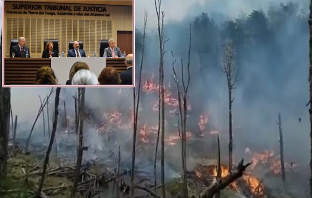 Superior Tribunal, resolvio que Juez de Tolhuin, investigue el incendio forestal