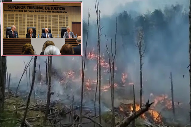 Superior Tribunal, resolvio que Juez de Tolhuin, investigue el incendio forestal