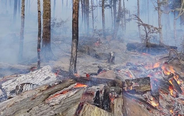 Nuevo incendio forestal en cercanías a la zona de Villa Marina