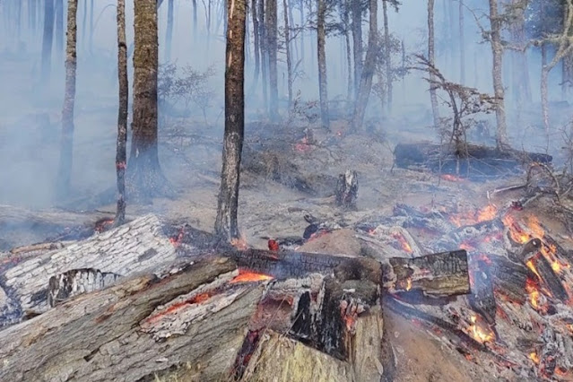 Nuevo incendio forestal en cercanías a la zona de Villa Marina