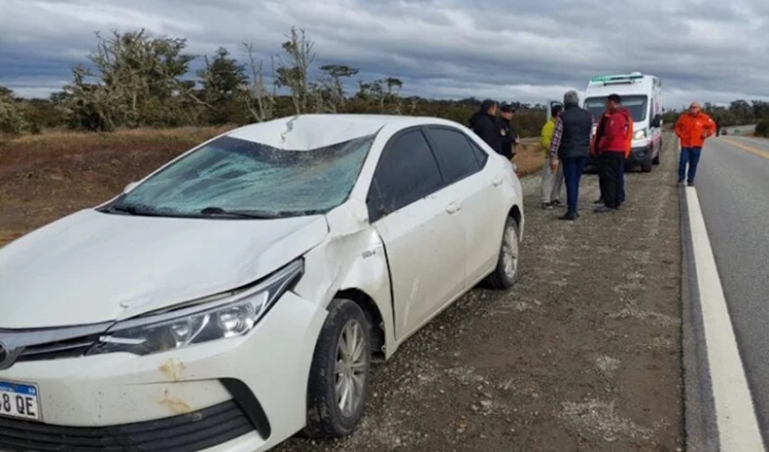 Vehiculo atropello un guanaco en la Ruta 3, sin personas lesionados Vehiculo atropello un guanaco en la Ruta 3, sin personas lesionados