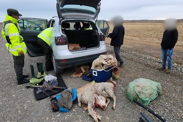 4 demorados por cuatrerismo en la Ruta 3 4 demorados por cuatrerismo en la Ruta 3