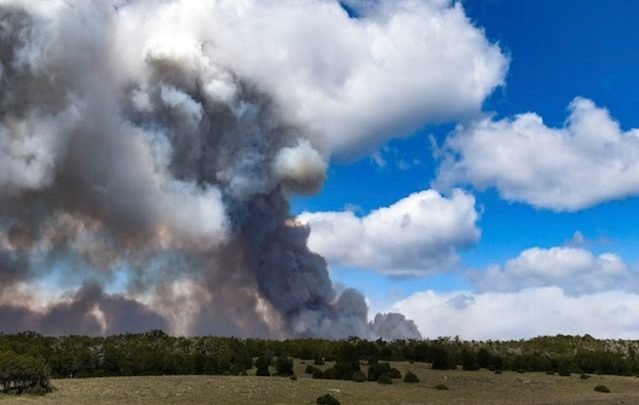 Nuevo incendio forestal en cercanias a la estancia La Correntina