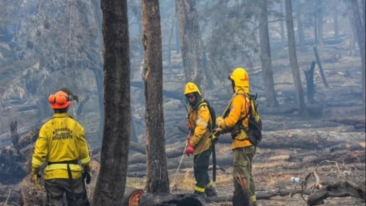 Incendio en Villa Marina, un procesado y embargado por la Justicia