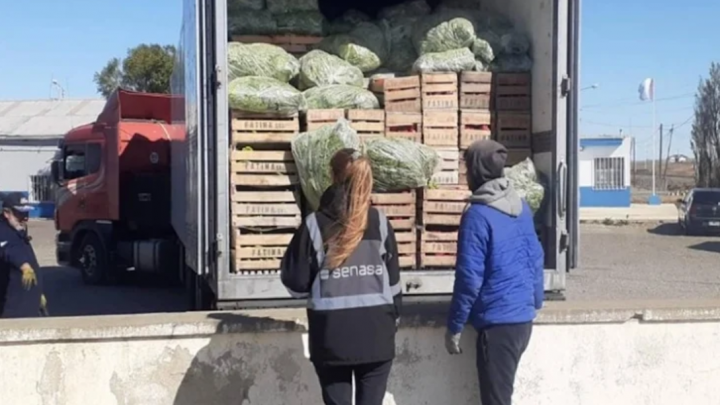 Decomisaron casi 3000 kilos de frutas y hortalizas con destino a Ushuaia