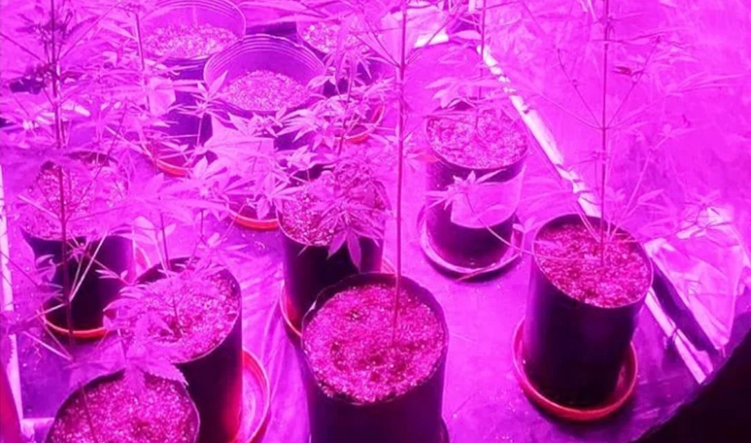 Allanamiento por venta de droga a través de las redes sociales, una pareja imputada Allanamiento por venta de droga a través de las redes sociales, una pareja imputada