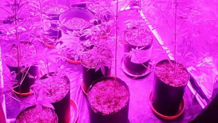 Allanamiento por venta de droga a través de las redes sociales, una pareja imputada