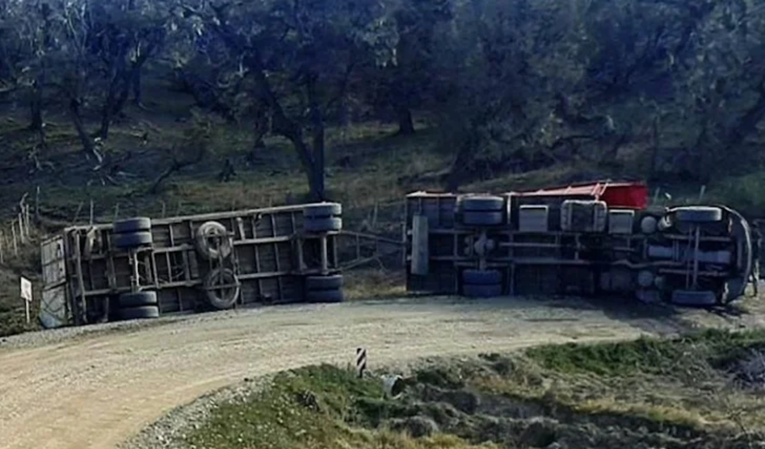 Vuelco de un camion jaula que transportaba vacunos