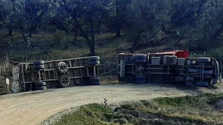 Vuelco de un camion jaula que transportaba vacunos