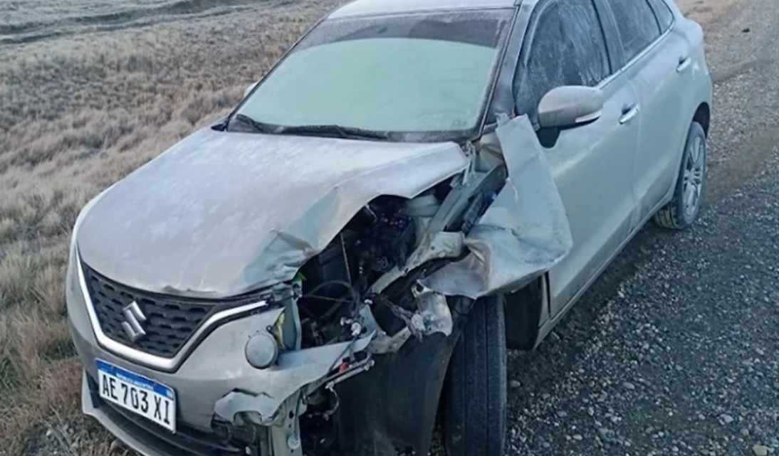 Conductora atropello a un guanaco en la Ruta 3