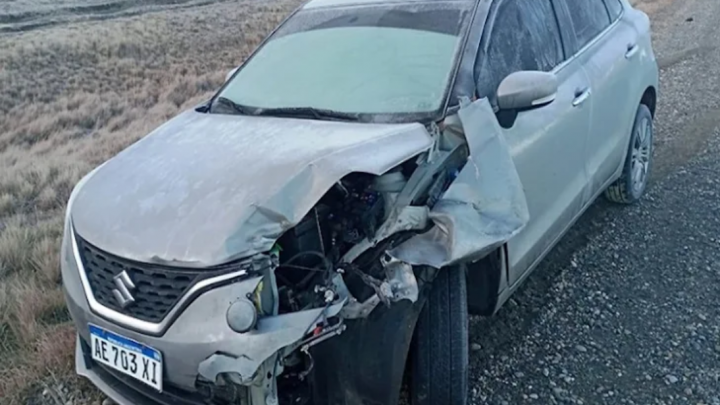 Conductora atropello a un guanaco en la Ruta 3