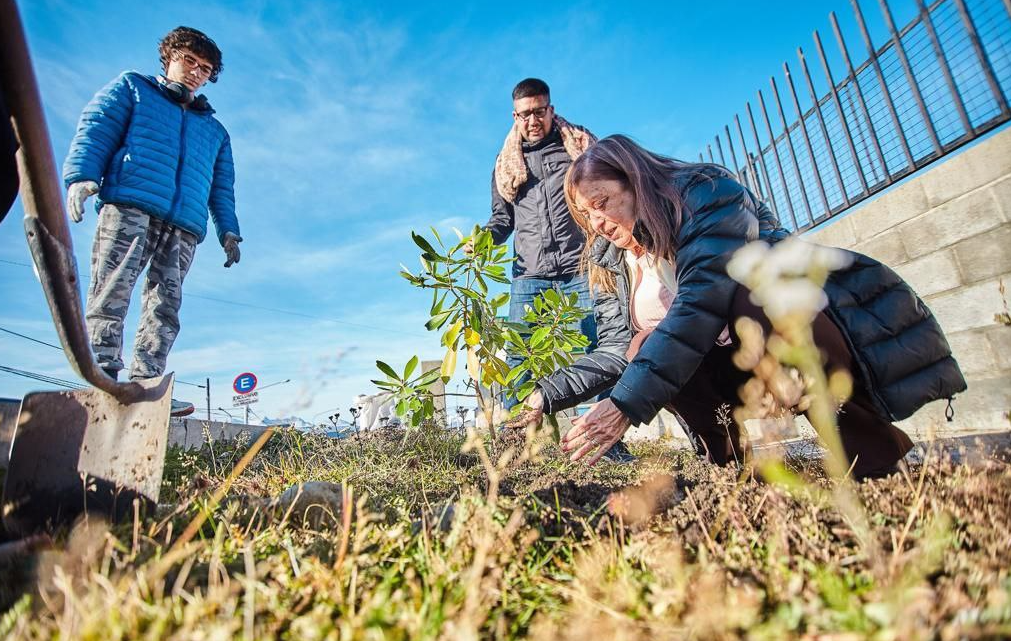 LA MUNICIPALIDAD DE USHUAIA CONCLUYÓ LA ETAPA INICIAL DE “MI PRIMER ARBOLITO” LA MUNICIPALIDAD DE USHUAIA CONCLUYÓ LA ETAPA INICIAL DE “MI PRIMER ARBOLITO”